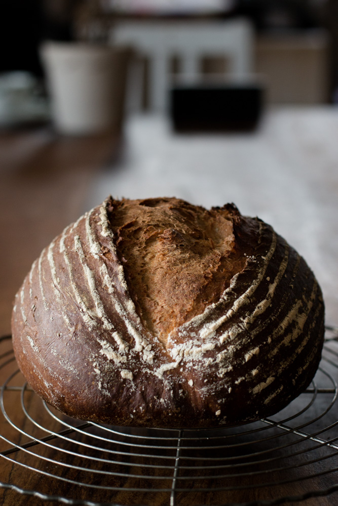 Einfaches Bauernbrot - krosse Kruste, saftige Krume