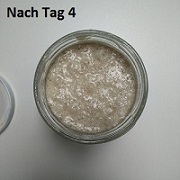 sauerteig4